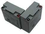Set of 2 Batteries: Interstate Batteries (am-3062)